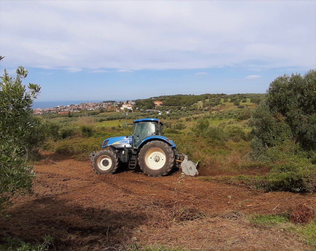 Trattore New Holland e trinciasarmenti forestale