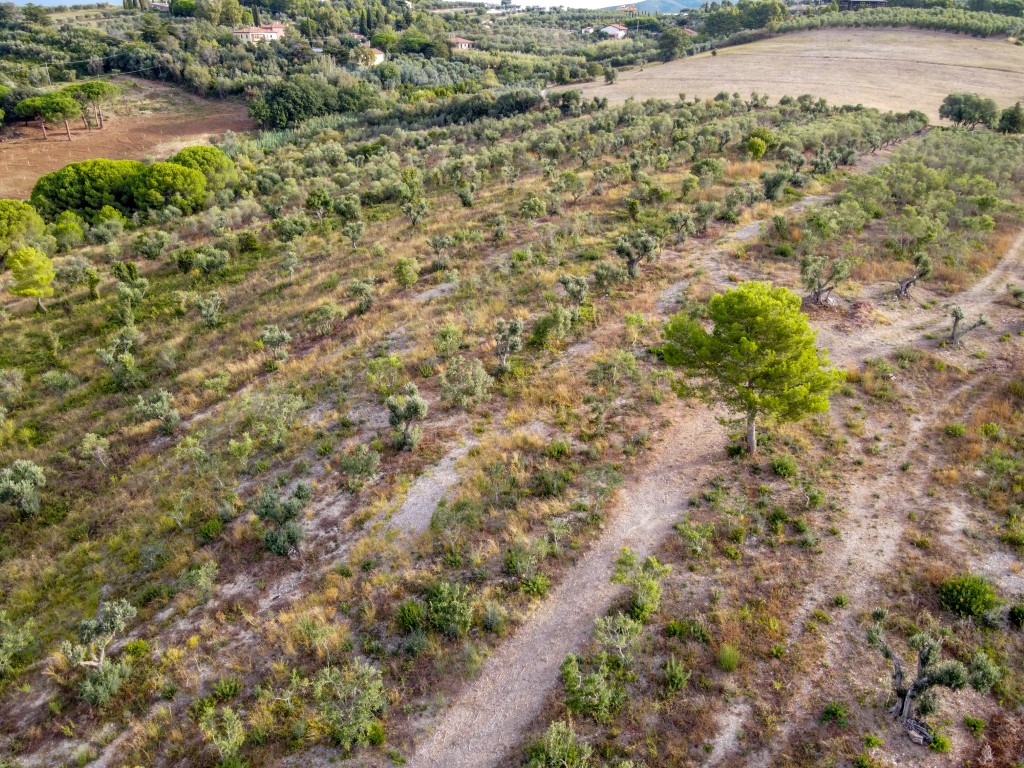 Cima del colle alla particella 97